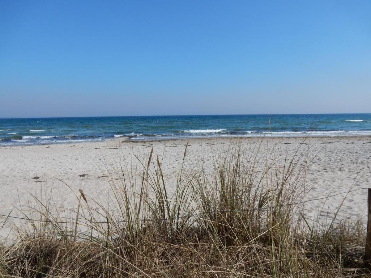 Exklusive Familienfreundliche Ferienwohnung Im Haus Aalbeek Timmendorfer Strand Ngoại thất bức ảnh